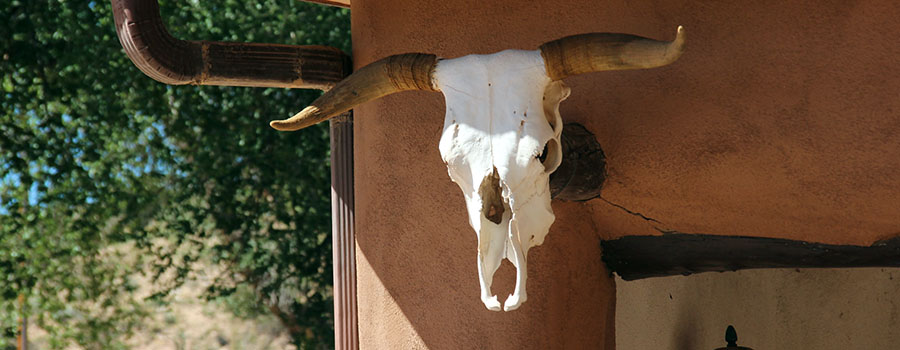 アメリカ】画家オキーフが愛した「ゴースト・ランチ」ニューメキシコ 